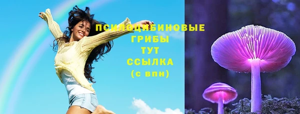ПСИЛОЦИБИНОВЫЕ ГРИБЫ Новокубанск
