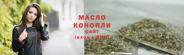 дмт Новозыбков