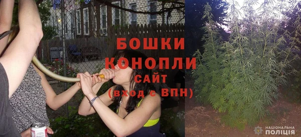 дмт Новозыбков