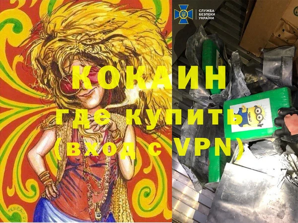 дмт Новозыбков
