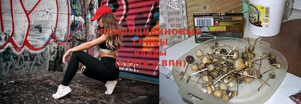 дмт Новозыбков