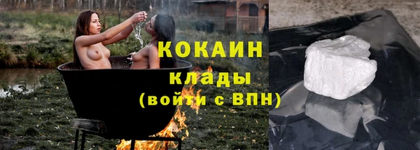 дмт Новозыбков