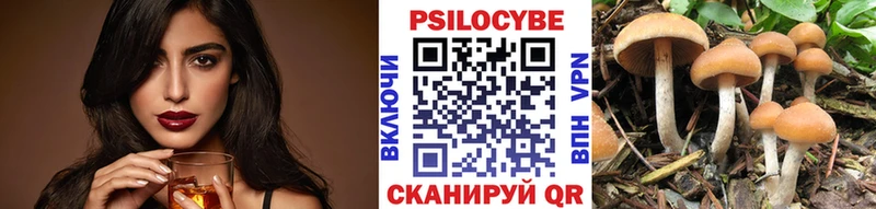 купить наркотик  Алейск  Галлюциногенные грибы мицелий 